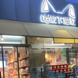 喵殿下猫社:金华市婺城区南苑附近