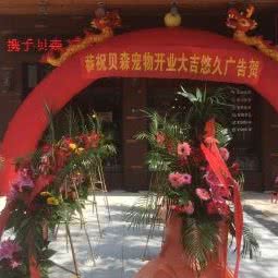 贝森宠物美容生活馆:金华市婺城区人民西路附近