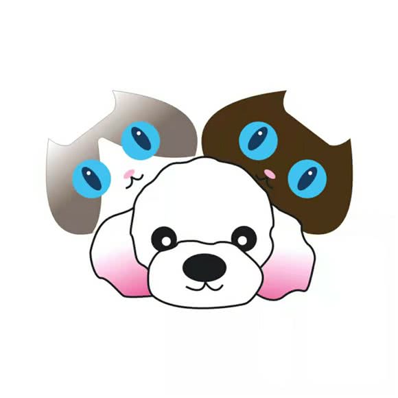 优优宠物生活馆:金华市金东区万达广场附近