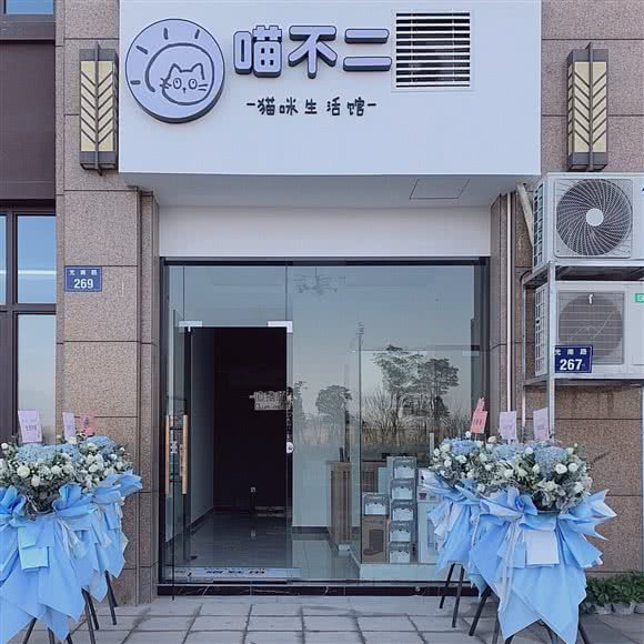 喵不二猫咪生活馆:金华市金东区万达广场附近
