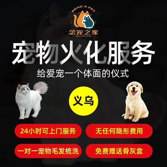 念宠宠物:金华市金东区金义大都市附近