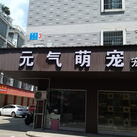元气萌宠:金华市义乌市福田街道附近