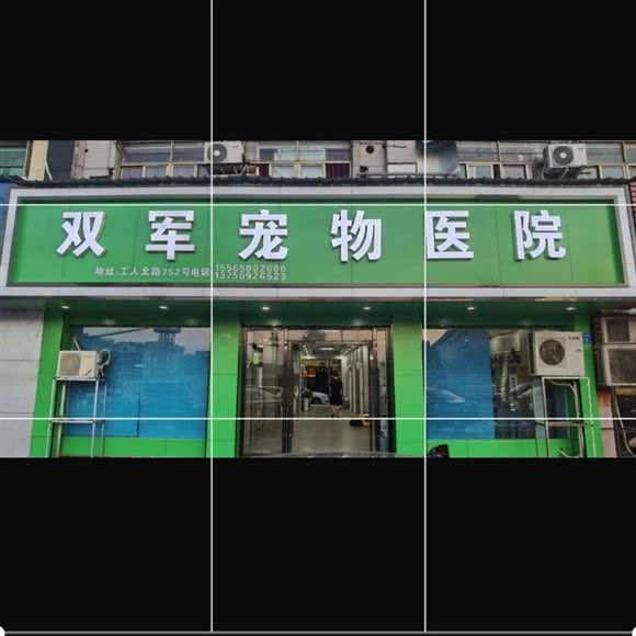 双军宠物医院:金华市义乌市福田街道附近