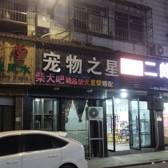 宠物之星:金华市义乌市稠城街道附近