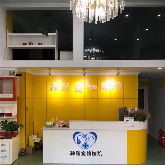 颖颖宠物医院·内窥镜·针灸·肝肾重症转诊中心:金华市义乌市稠城街道附近