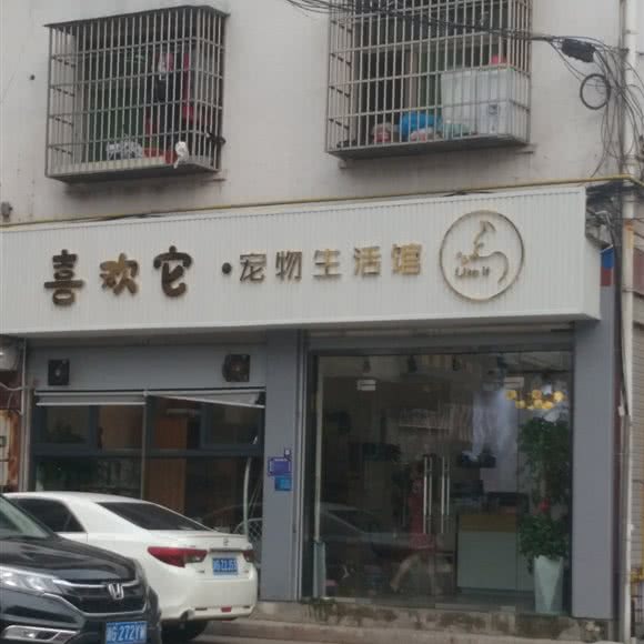 喜欢它宠物生活馆:金华市义乌市江东街道附近