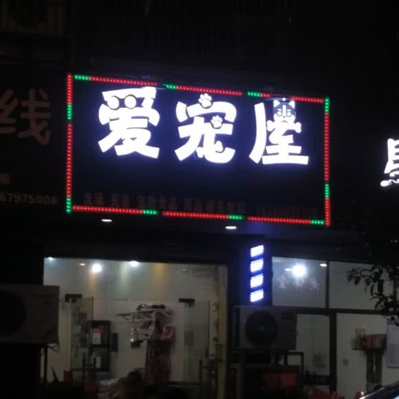 爱宠屋:金华市义乌市江东街道附近
