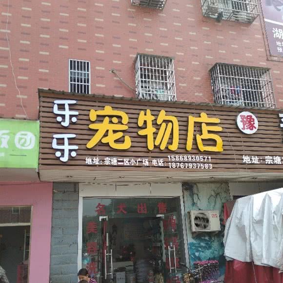 乐乐宠物店:金华市义乌市江东街道附近