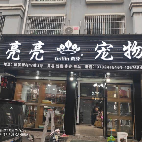 亮亮宠物狗:金华市义乌市江东街道附近