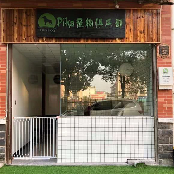 Pika宠物:金华市义乌市江东街道附近