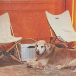 阿甘的猫:金华市义乌市江东街道附近