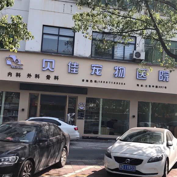 贝佳宠物医院:金华市义乌市江东街道附近