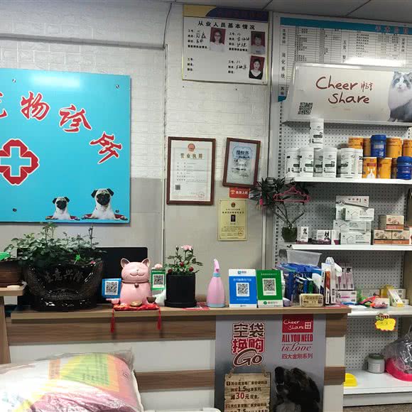 名扬宠物诊所:金华市义乌市江东街道附近