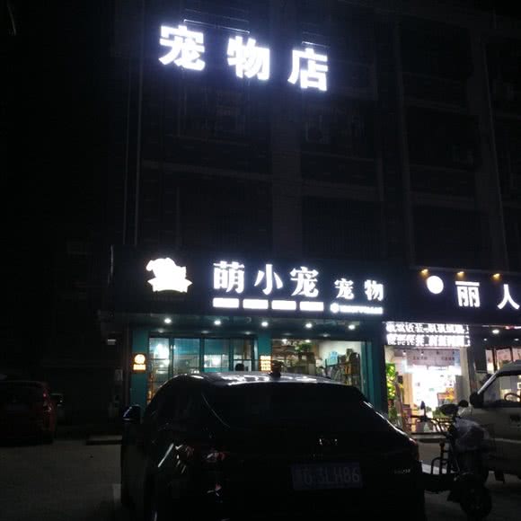 萌小宠宠物(义乌市店):金华市义乌市北苑街道附近