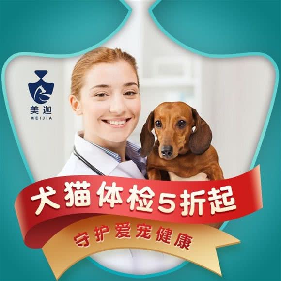 美迦关爱动物医院(夜诊东环分院):北京城区昌平区昌平镇附近