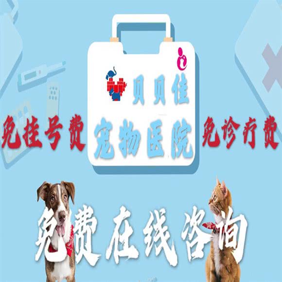 贝贝佳动物医院:北京城区昌平区昌平镇附近