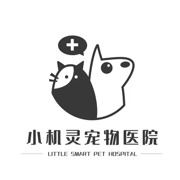 小机灵宠物医院:金华市义乌市北苑街道附近