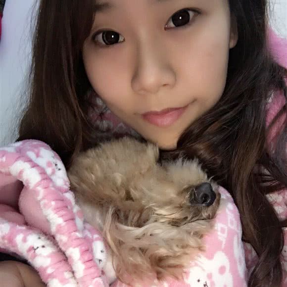 义乌市丽派宠物诊所:金华市义乌市北苑街道附近