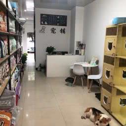 宠铺宠物生活馆:金华市义乌市稠江街道附近