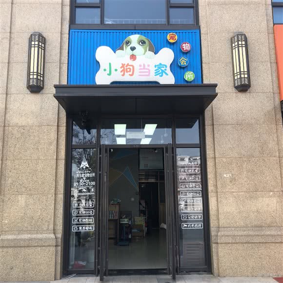 小狗当家宠物会所(佛堂店):金华市义乌市佛堂镇附近