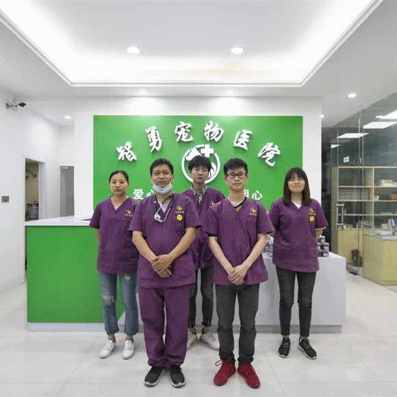 义乌市佩齐宠物医院:金华市义乌市佛堂镇附近