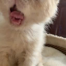 一橙宠咖:金华市东阳市吴宁街道附近