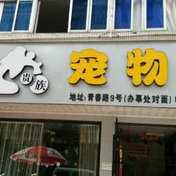 贵族宠物会所:金华市东阳市吴宁街道附近