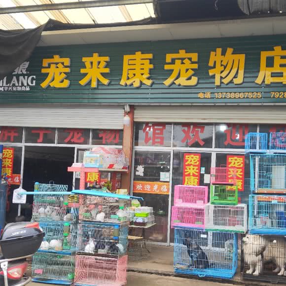 宠来康宠物店:金华市永康市江南街道附近