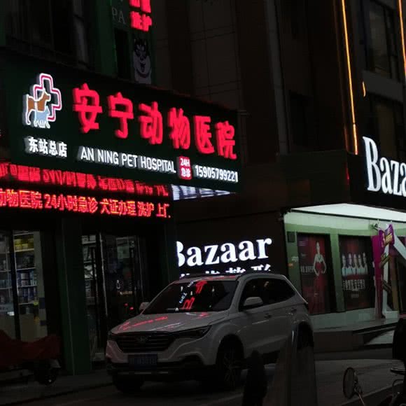 安宁动物医院(东站总店):金华市永康市东城街道附近