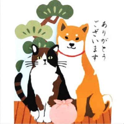 宠爱有家:衢州市柯城区东方大酒店附近