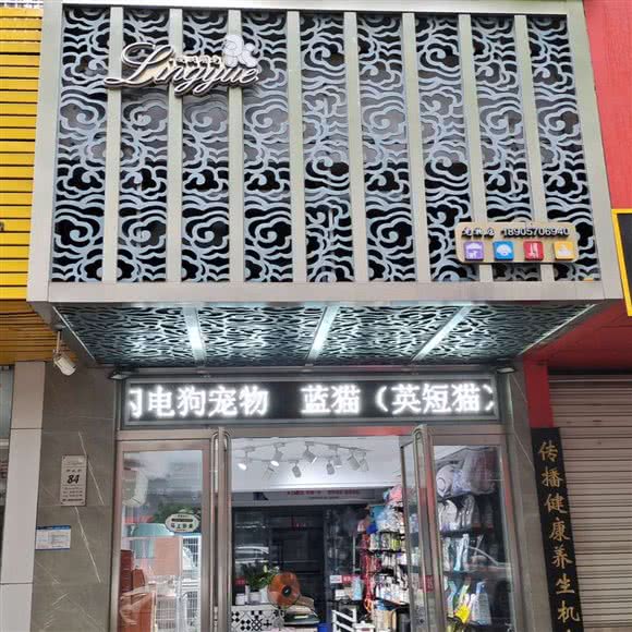 凌跃萌宠:衢州市柯城区东方大酒店附近