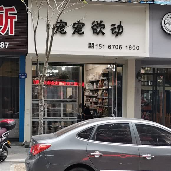 宠宠欲动(狮桥街店):衢州市柯城区东方大酒店附近