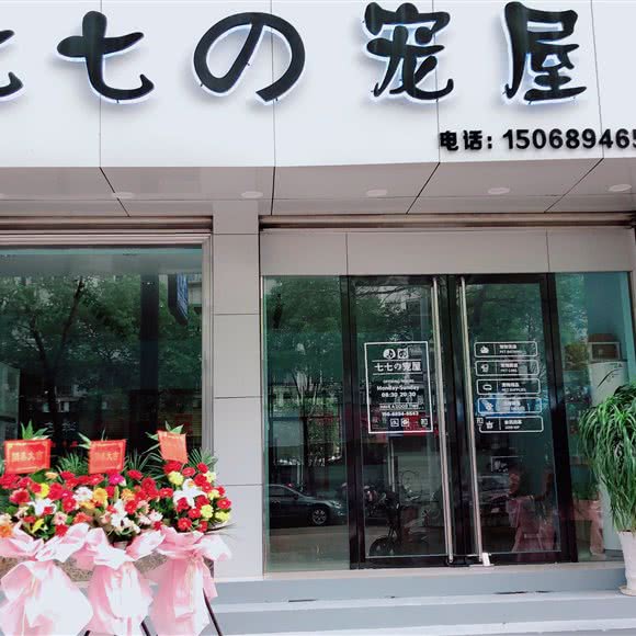 七七の宠屋:衢州市柯城区体育局附近
