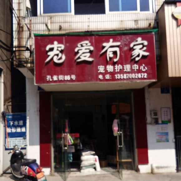宠爰有家:衢州市柯城区巨化工人广场附近