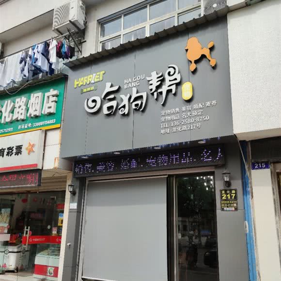 哈狗帮宠物会所:衢州市柯城区世纪大厦附近
