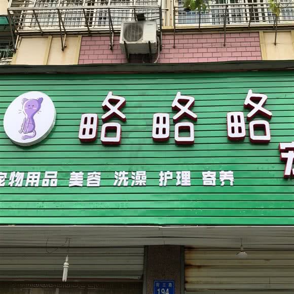 略略略宠物:衢州市柯城区三衢路附近