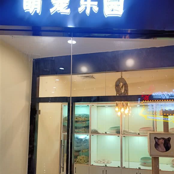 萌宠乐园:衢州市柯城区时代广场附近