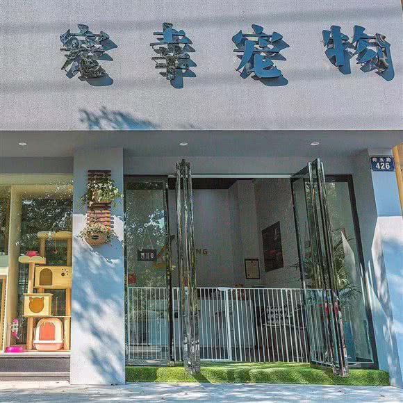 宠幸宠物:衢州市柯城区汽车客运中心附近