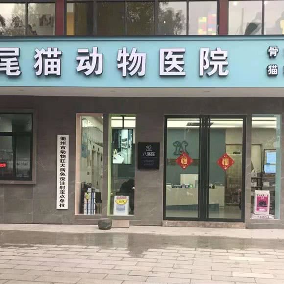 八尾猫动物医院:衢州市柯城区水亭街附近