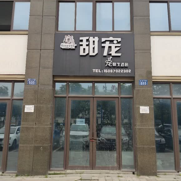 甜宠宠物生活馆:衢州市衢江区宾港北路附近