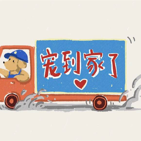 宠到家了宠物平台:衢州市衢江区区政府周边附近