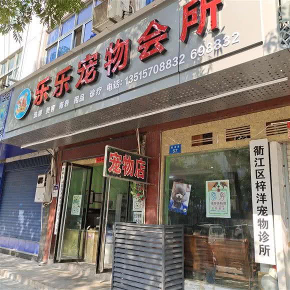 乐乐宠物诊所(梓洋宠物诊所):衢州市衢江区樟潭镇附近