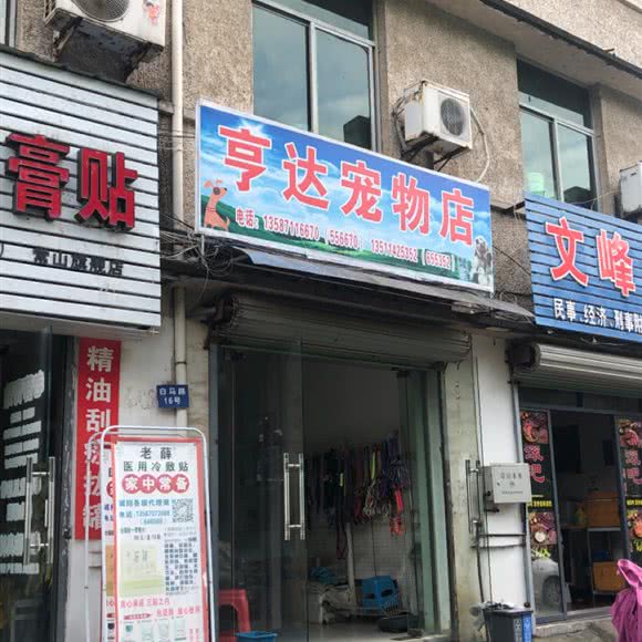 亨达面包店:衢州市常山县天马街道附近