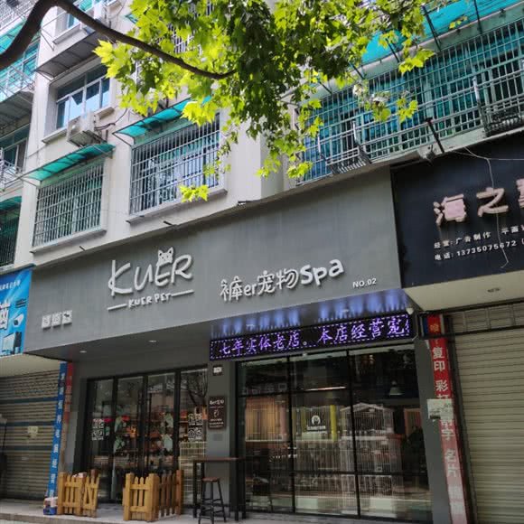 Kuer宠物Spa(no.02):衢州市龙游县龙洲街道附近