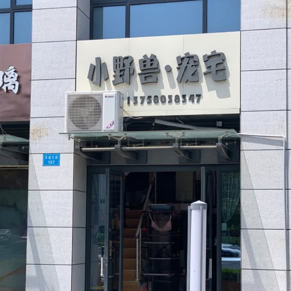 小野兽·宠宅:舟山市定海区环城南路附近