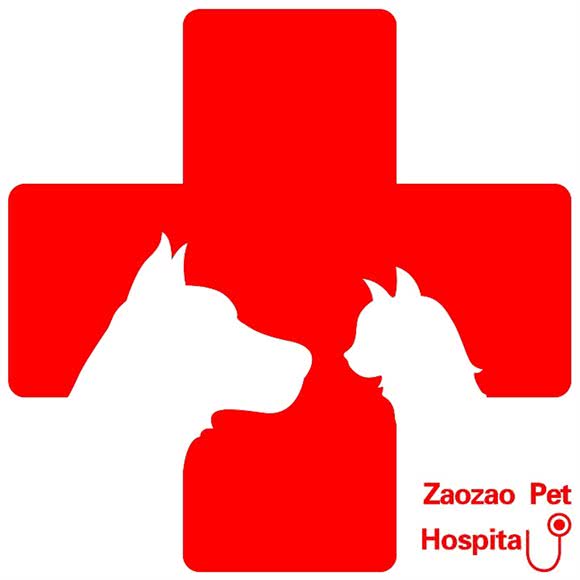 澡澡宠物诊疗中心:舟山市普陀区沈家门附近