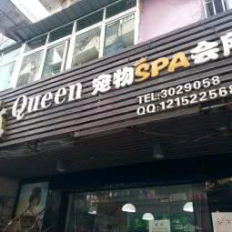 Queen宠物SPA会所:舟山市普陀区兴建路附近