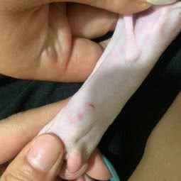 宠爱我家:北京城区昌平区北七家附近