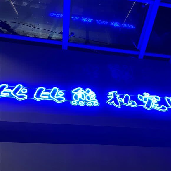 比比熊私宠咖:台州市椒江区东商务区附近