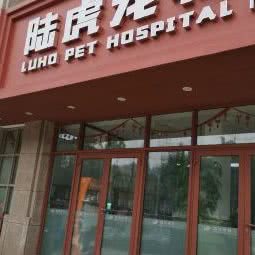 陆虎宠物医院:台州市椒江区老城区附近